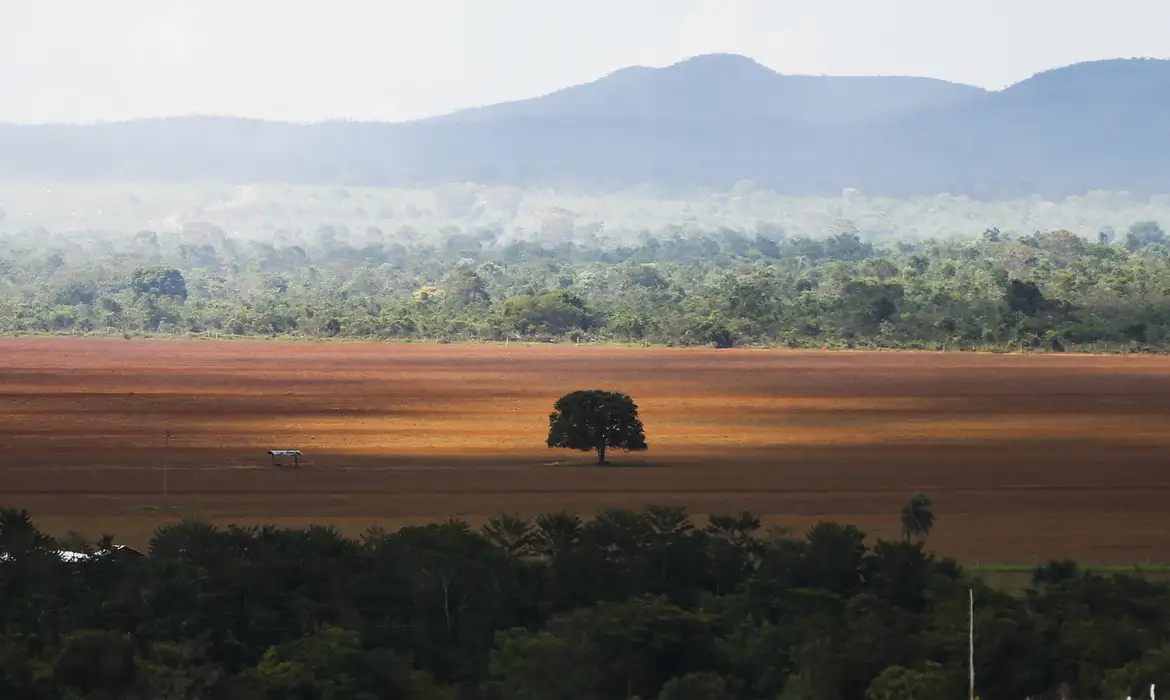 Desmatamento no Brasil 