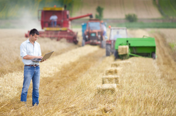 Agroindústria é ofertado como curso técnico por instituições de ensino.